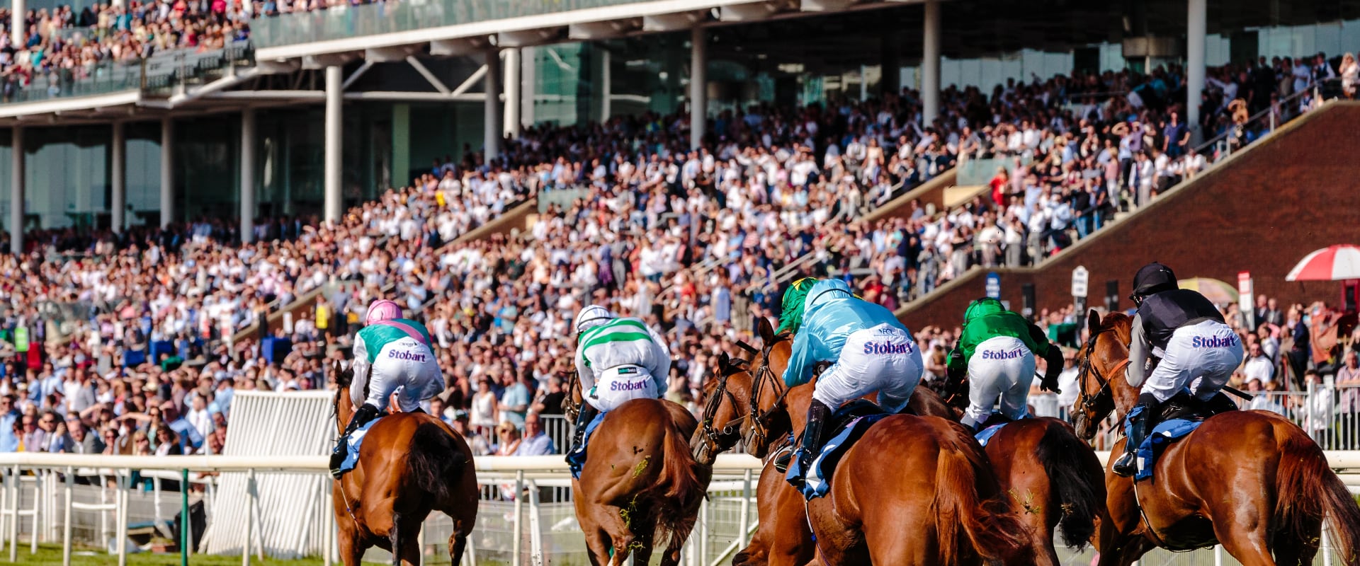 Sports Event Chauffeur